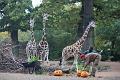 2015-10-22 06-51-37 (2)